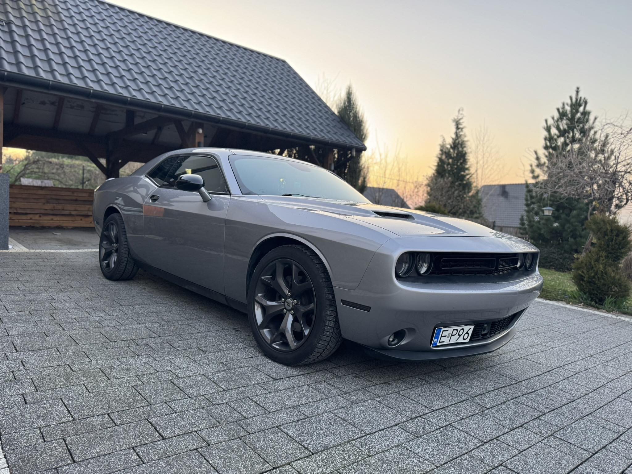 Szary Dodge Challenger V6 - sami prowadzicie !