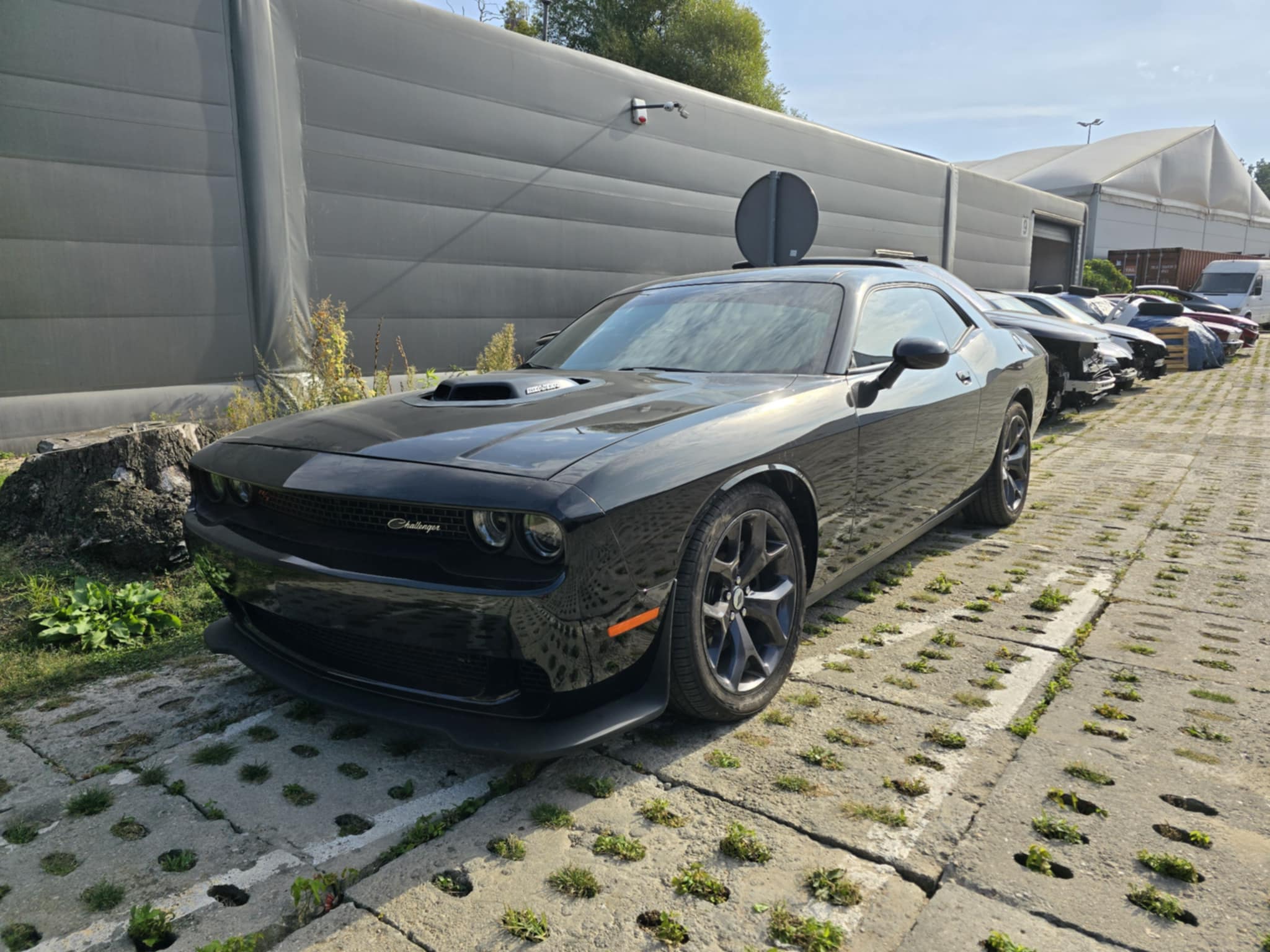 Czarny Dodge Challenger SRT
