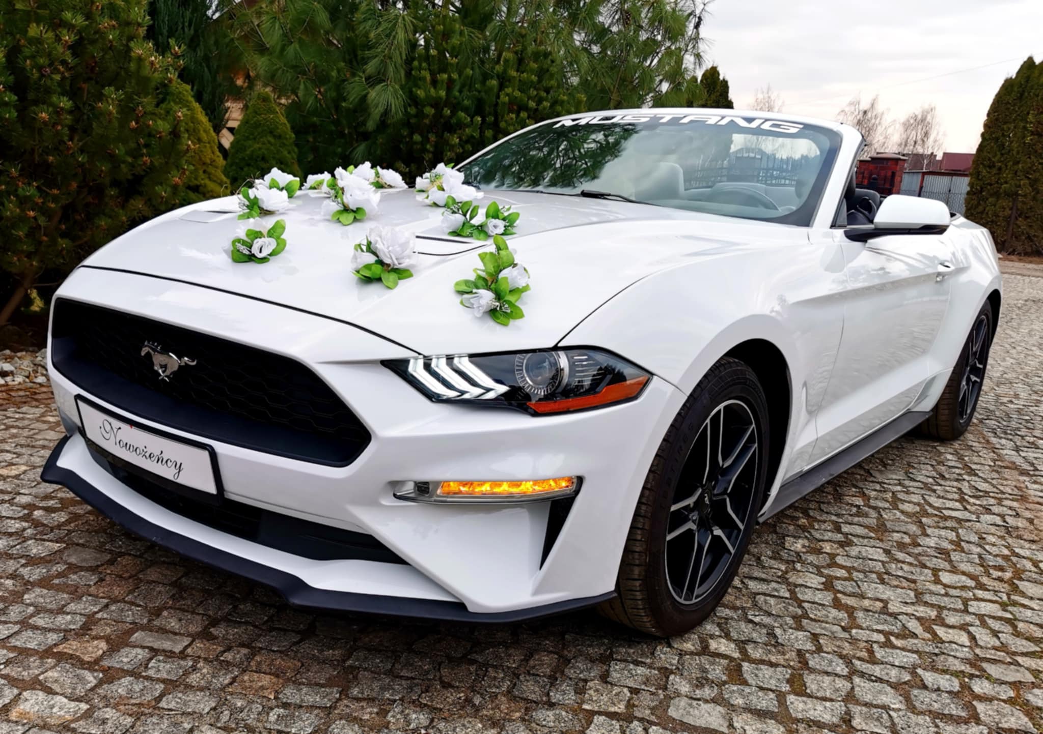 Biały Ford Mustang Cabrio - Sam prowadzisz !