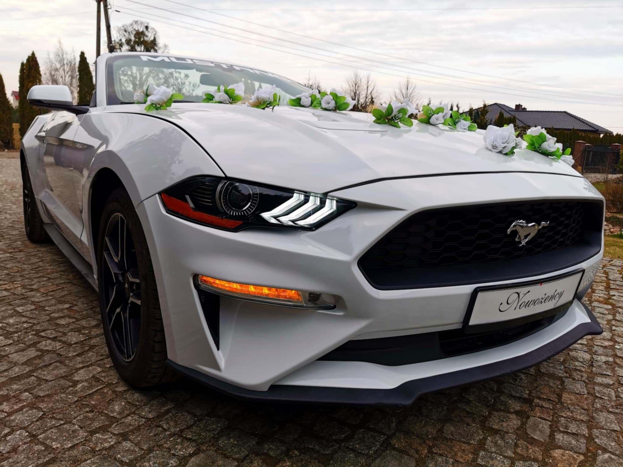 Biały Ford Mustang Cabrio - Sam prowadzisz !