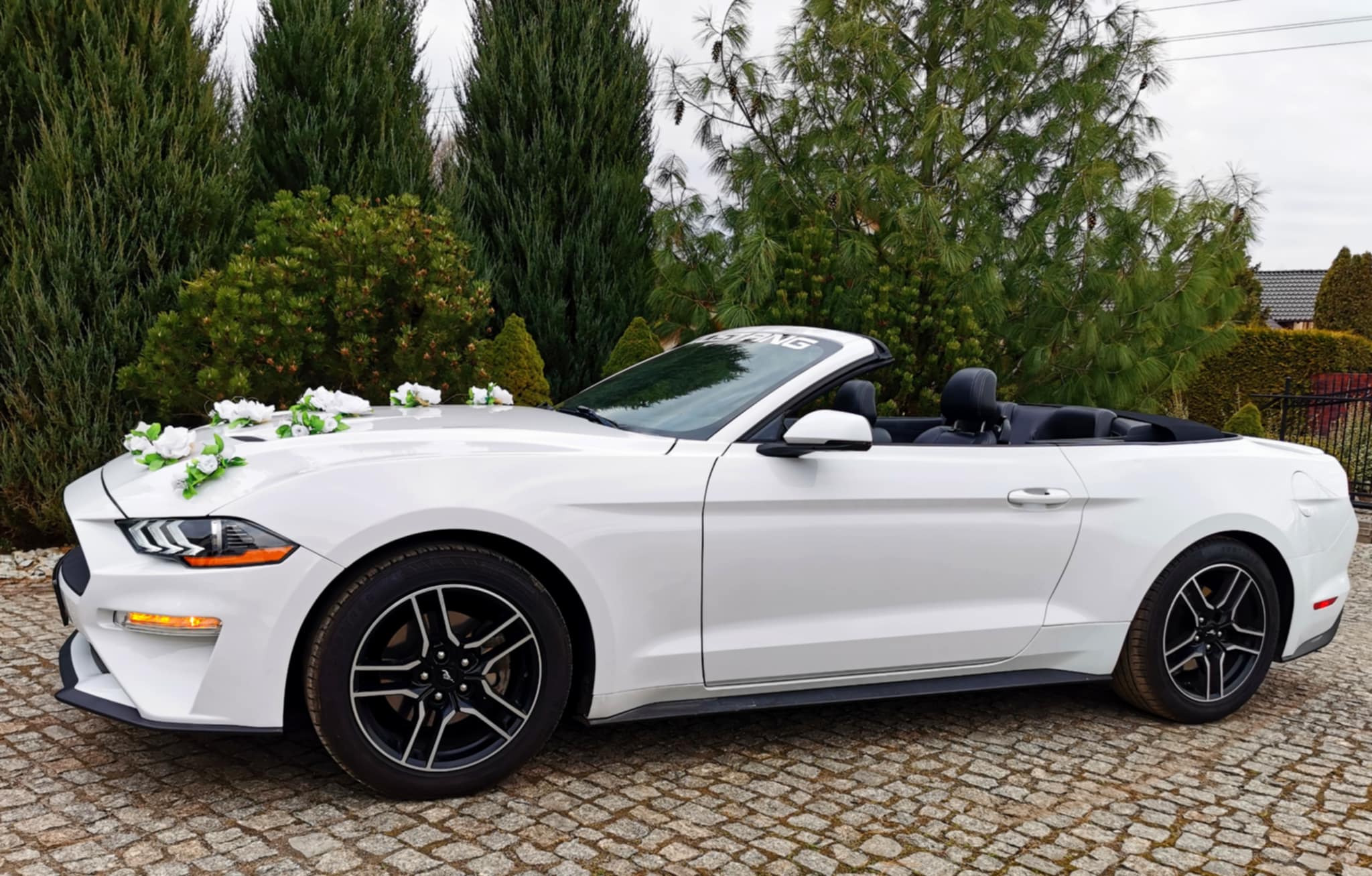 Biały Ford Mustang Cabrio - Sam prowadzisz !